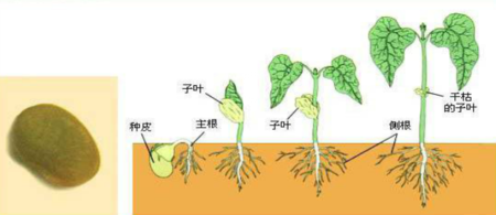 bob综合体育官网下载