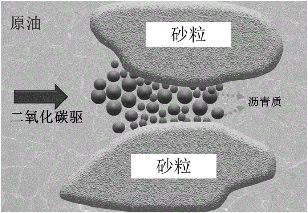 电视剧《南方有乔木》热播  陈伟霆“钓上”白百何【bob综合